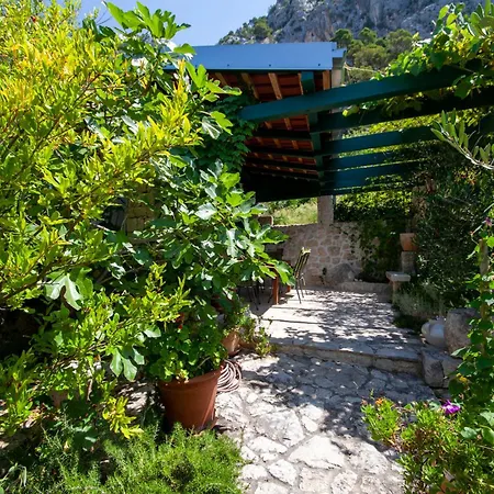 Matea Villa